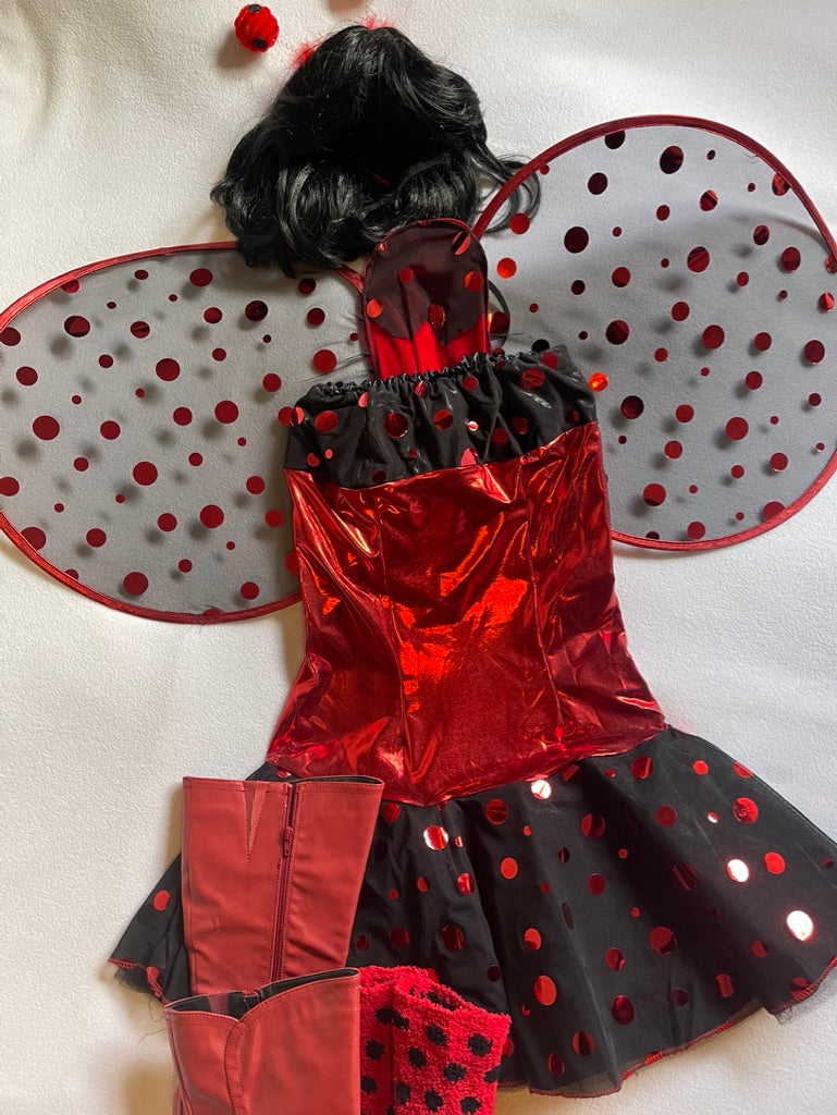 Ladybug Costume