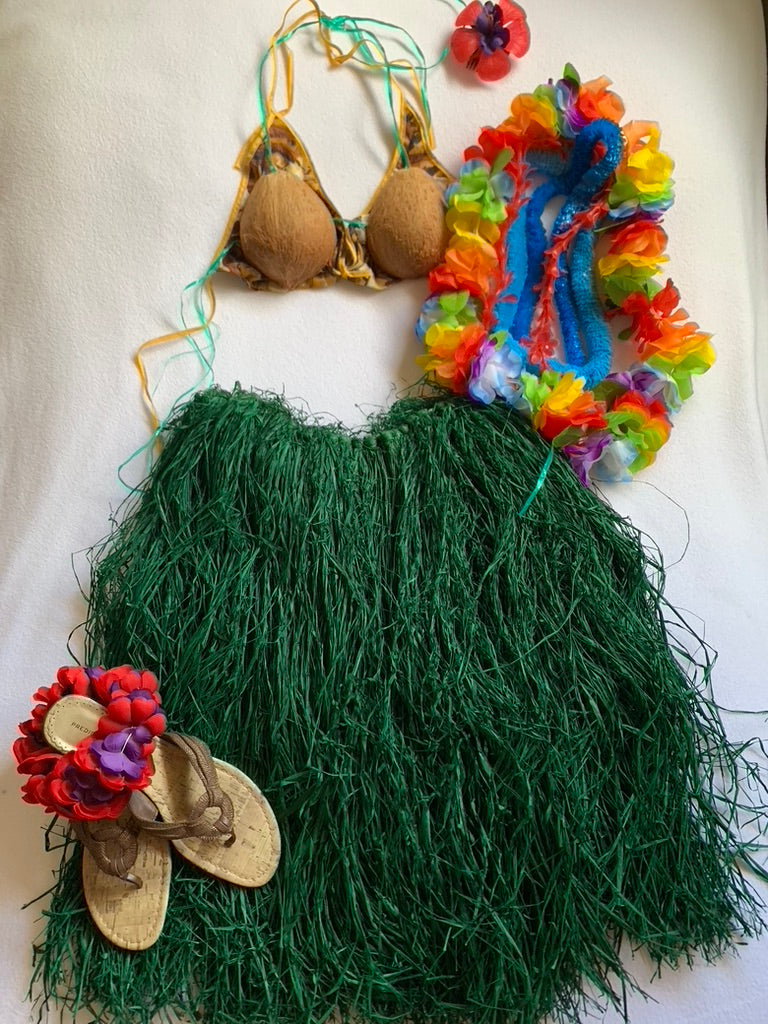 Hula Dancer Costume