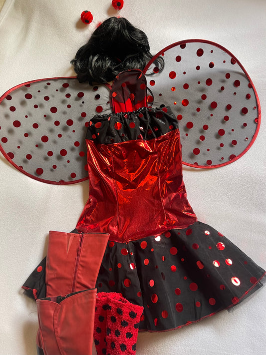 Ladybug Costume