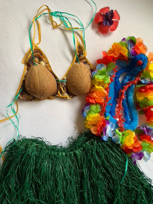 Hula Dancer Costume