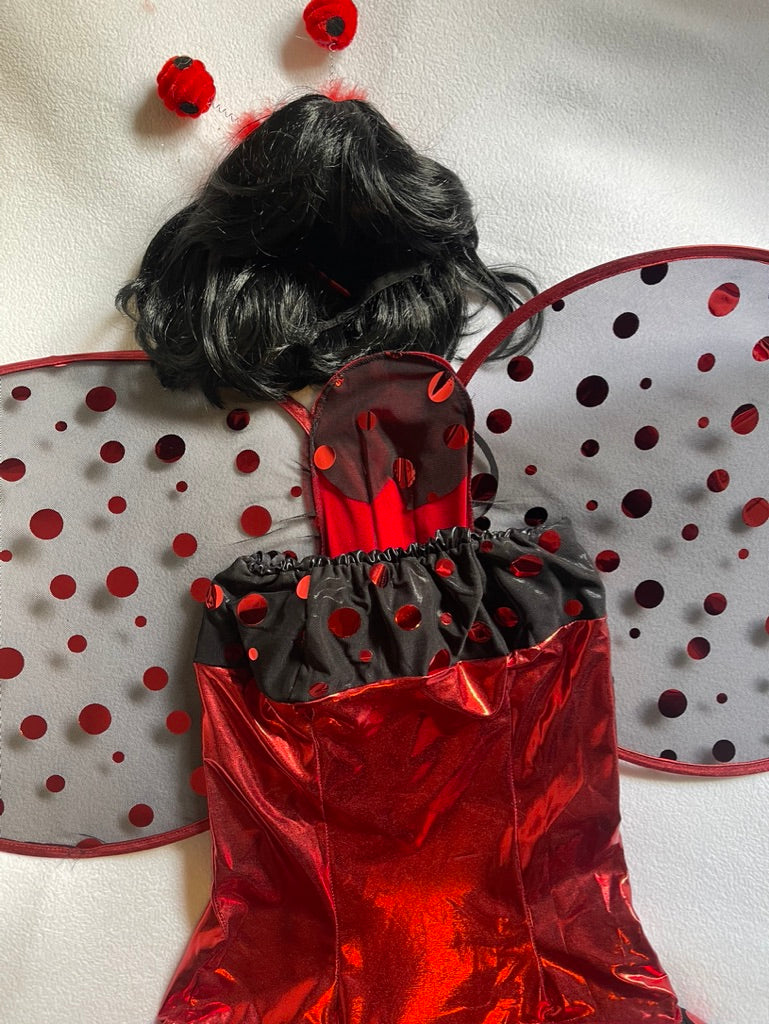 Ladybug Costume